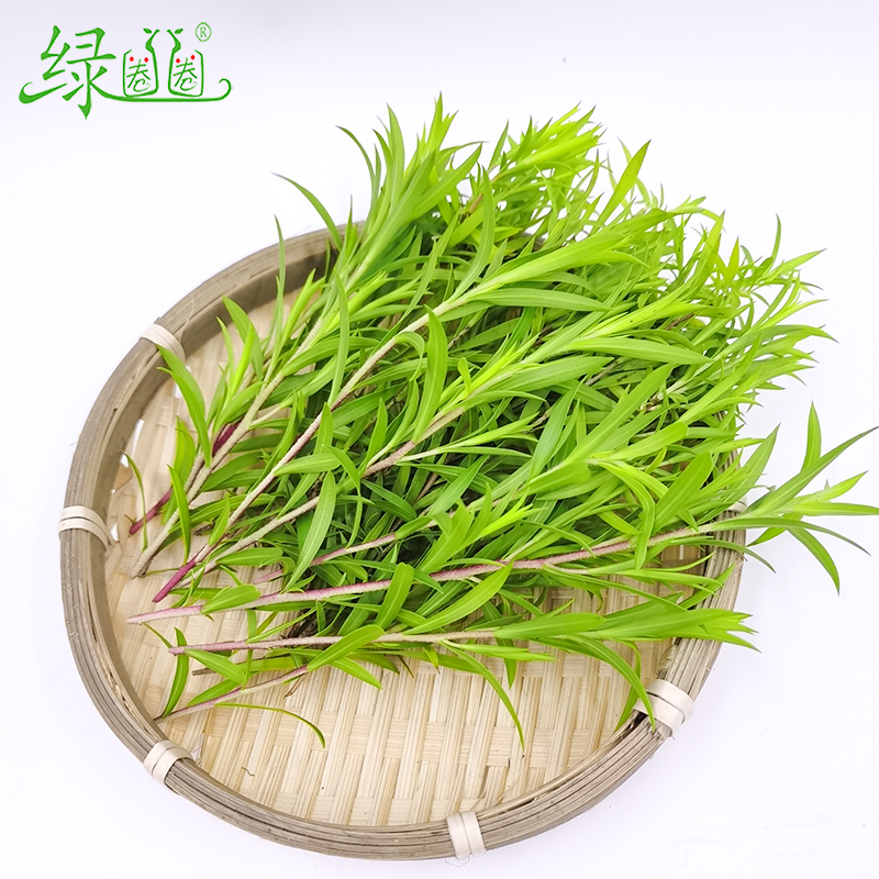 O1CN01Hhh22Y2Dtzls1Oz0M_!!2210384298668.jpg