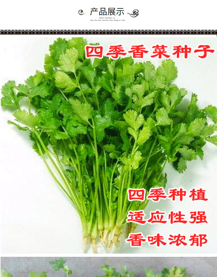 O1CN01dZFRpq1vTk6RMvWpn_!!2214975726174.jpg