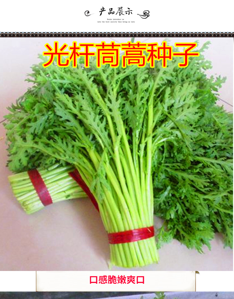 O1CN01cLmfCF23QXxhZl7EO_!!914817250.jpg